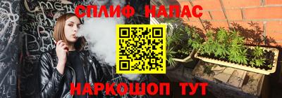 ECSTASY Славгород