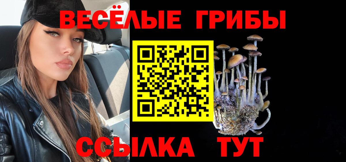 Галлюциногенные грибы MAGIC MUSHROOMS  Вход с VPN  Полевской 
