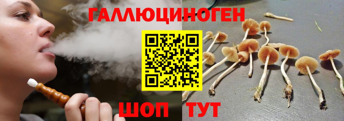 Галлюциногенные грибы мицелий Полевской